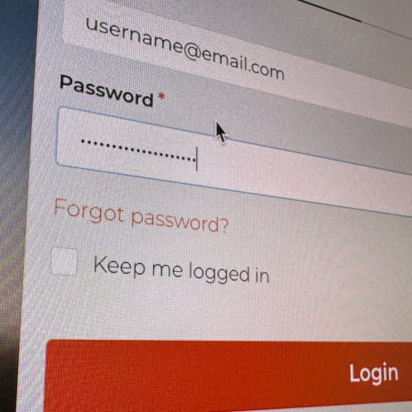 Password input